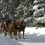 Apartman Tranquil In The Centre Of Seefeld *