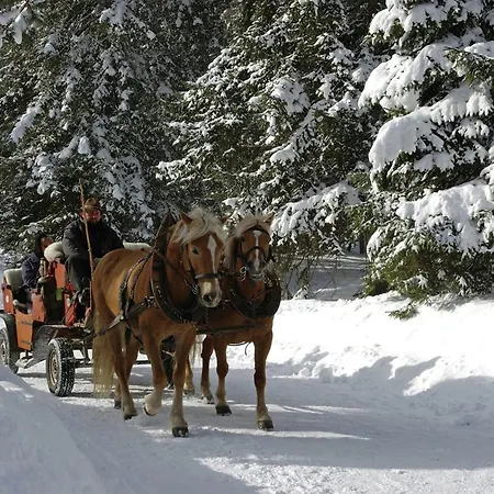 Tranquil In The Centre Of Seefeld * ゼーフェルト・イン・チロル